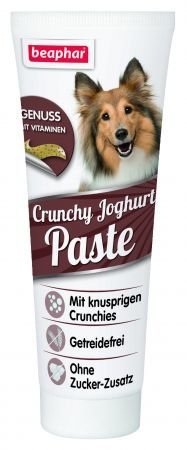 Crunchy Joghurt Paste 250g